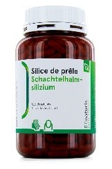 Schachtelhalmsilizium